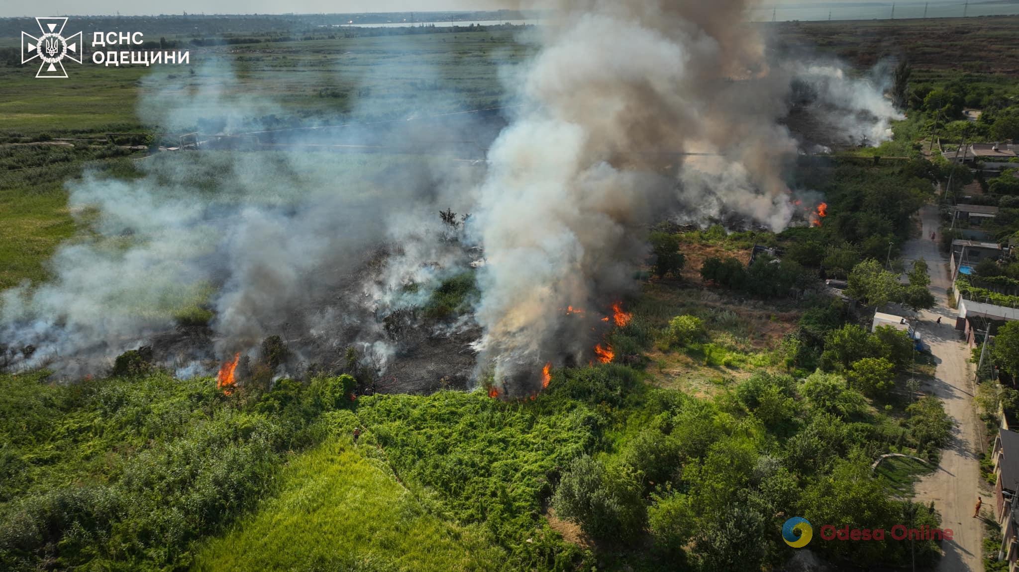 На Одещині за добу вигоріло понад 60 гектарів землі (фото, відео)