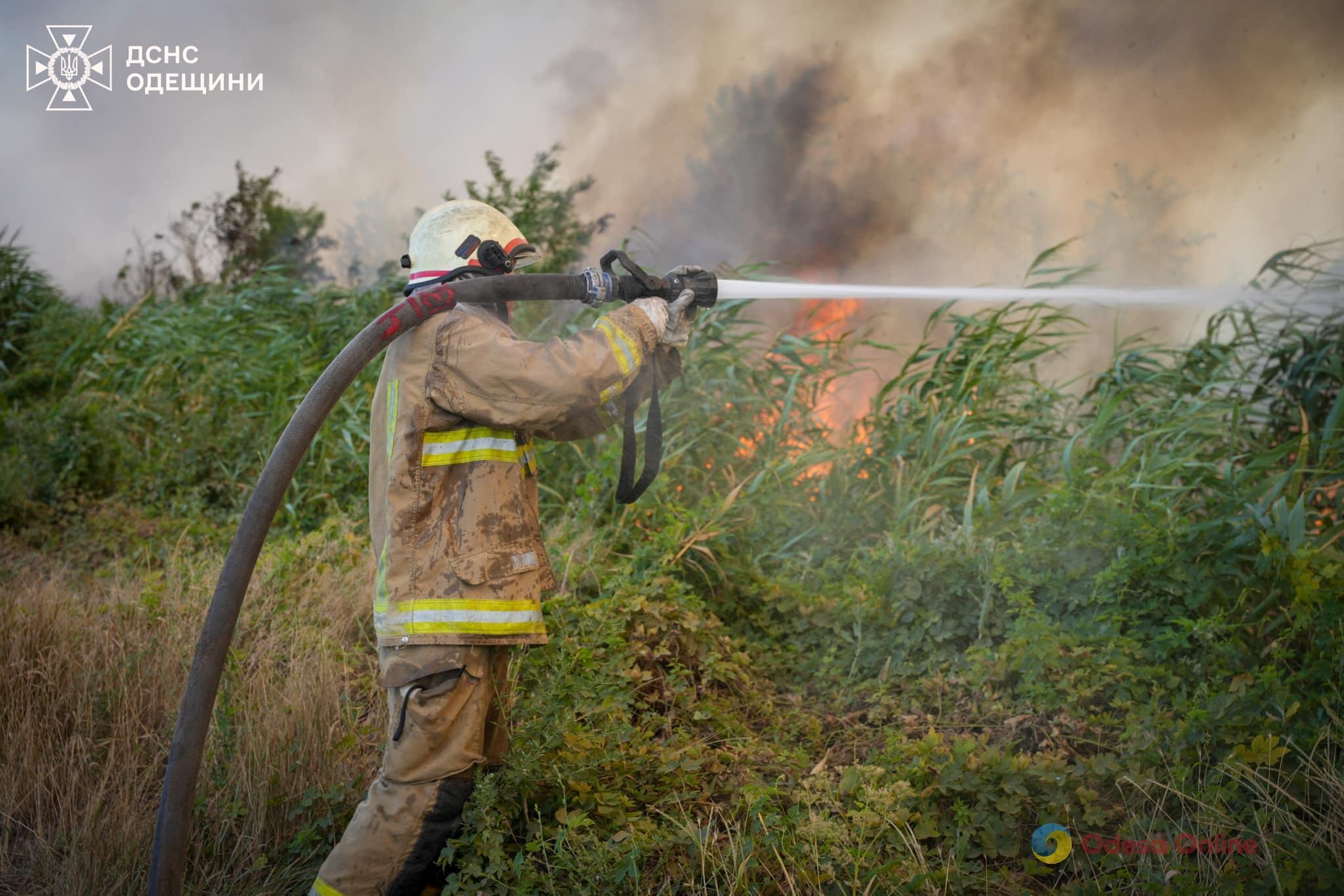 В Одесской области за сутки выгорело более 60 гектаров земли (фото, видео)