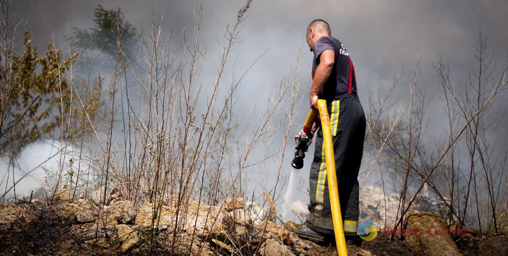 На Одещині гасили пожежу в лісовому господарстві