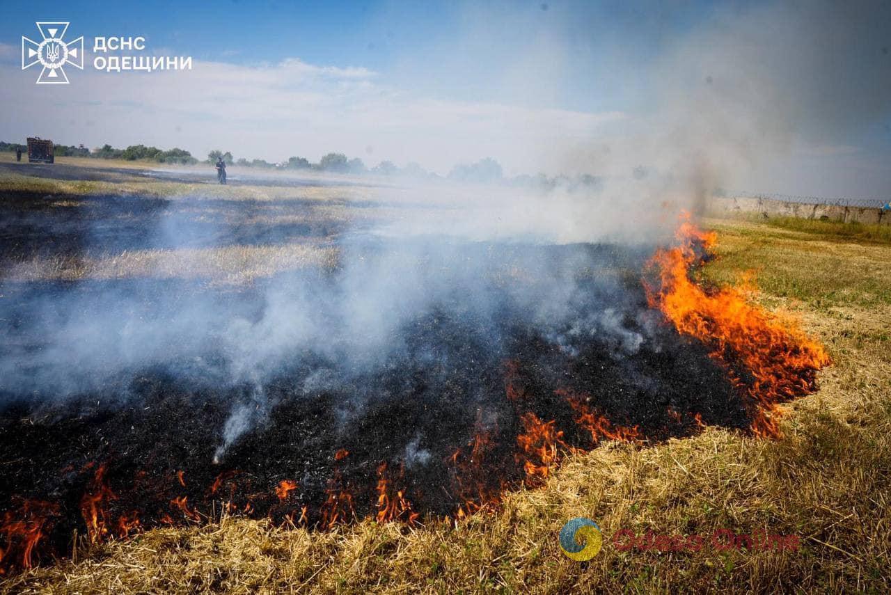 За тиждень сталися 380 пожеж на відкритих територіях та екосистемах Одещини