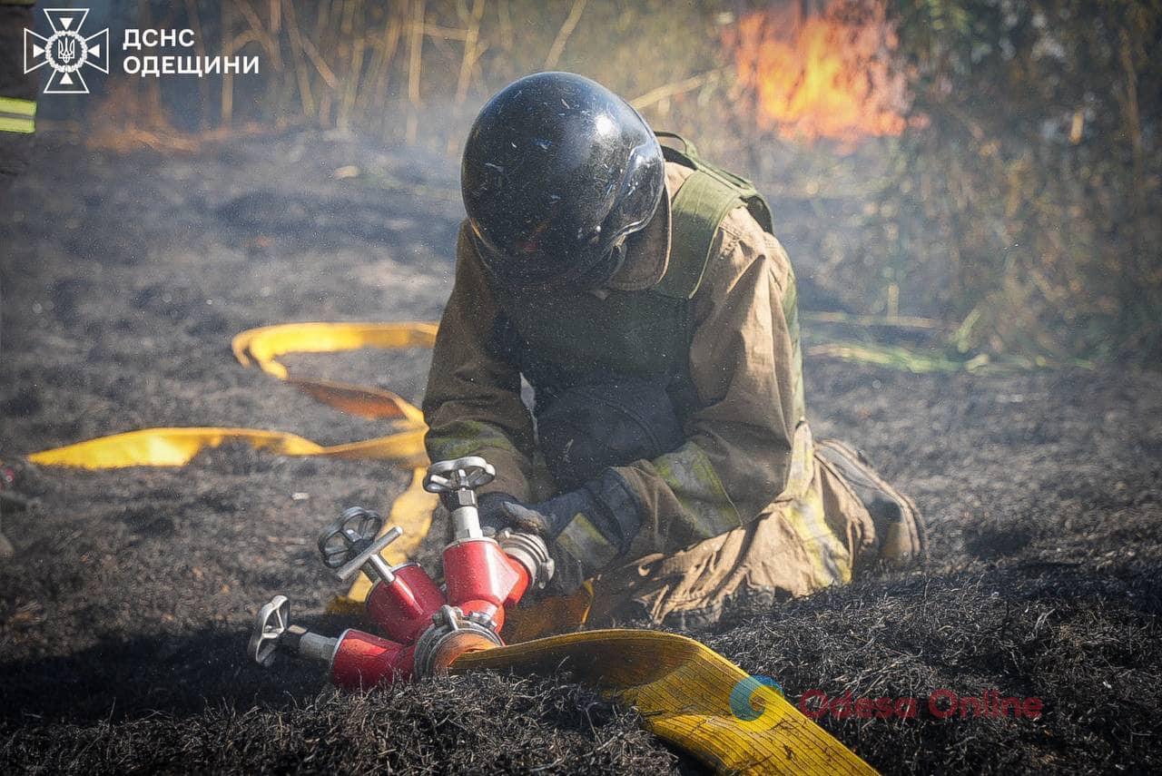 За неделю произошли 380 пожаров на открытых территориях и экосистемах Одесской области
