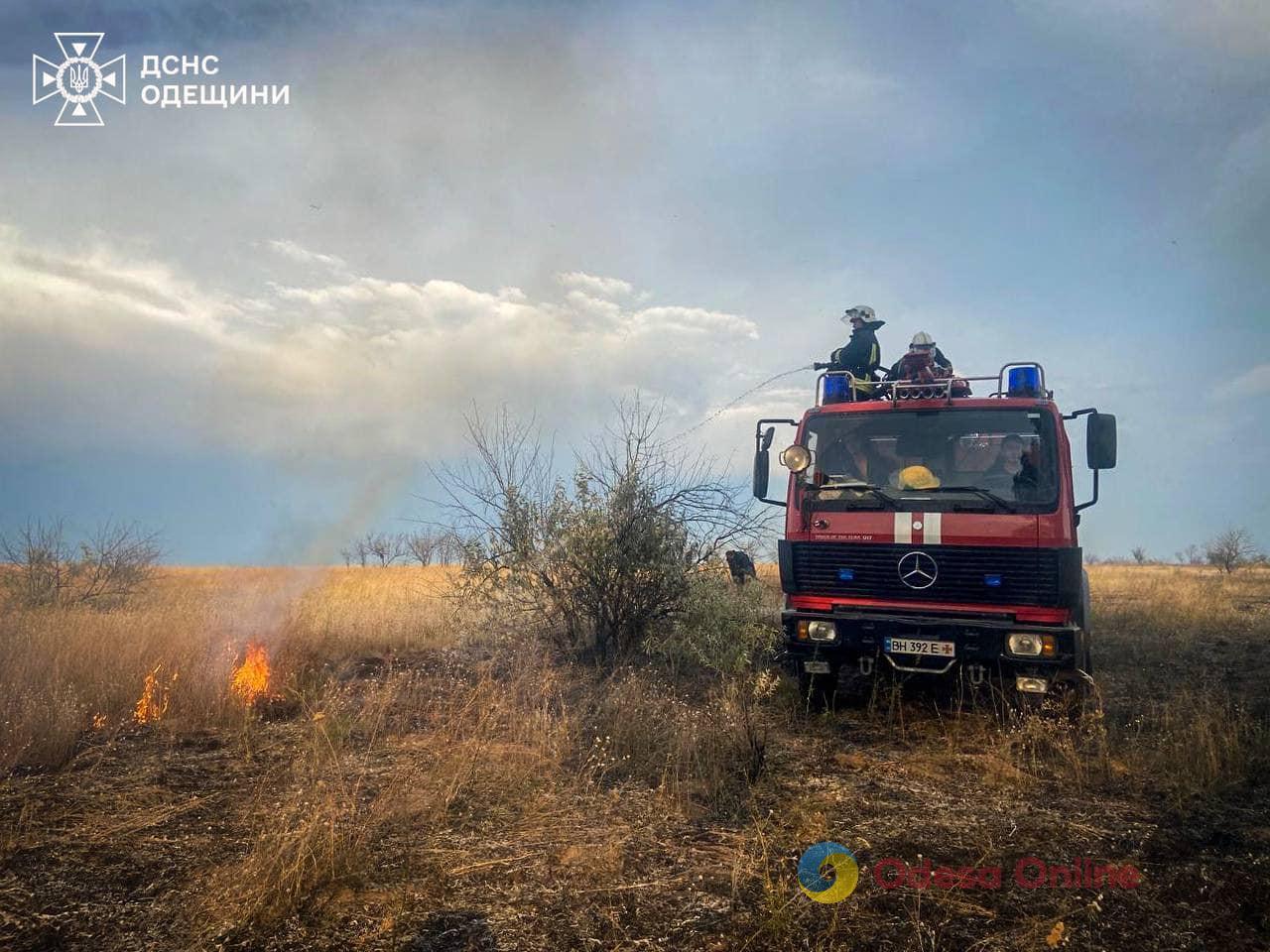 За неделю произошли 380 пожаров на открытых территориях и экосистемах Одесской области