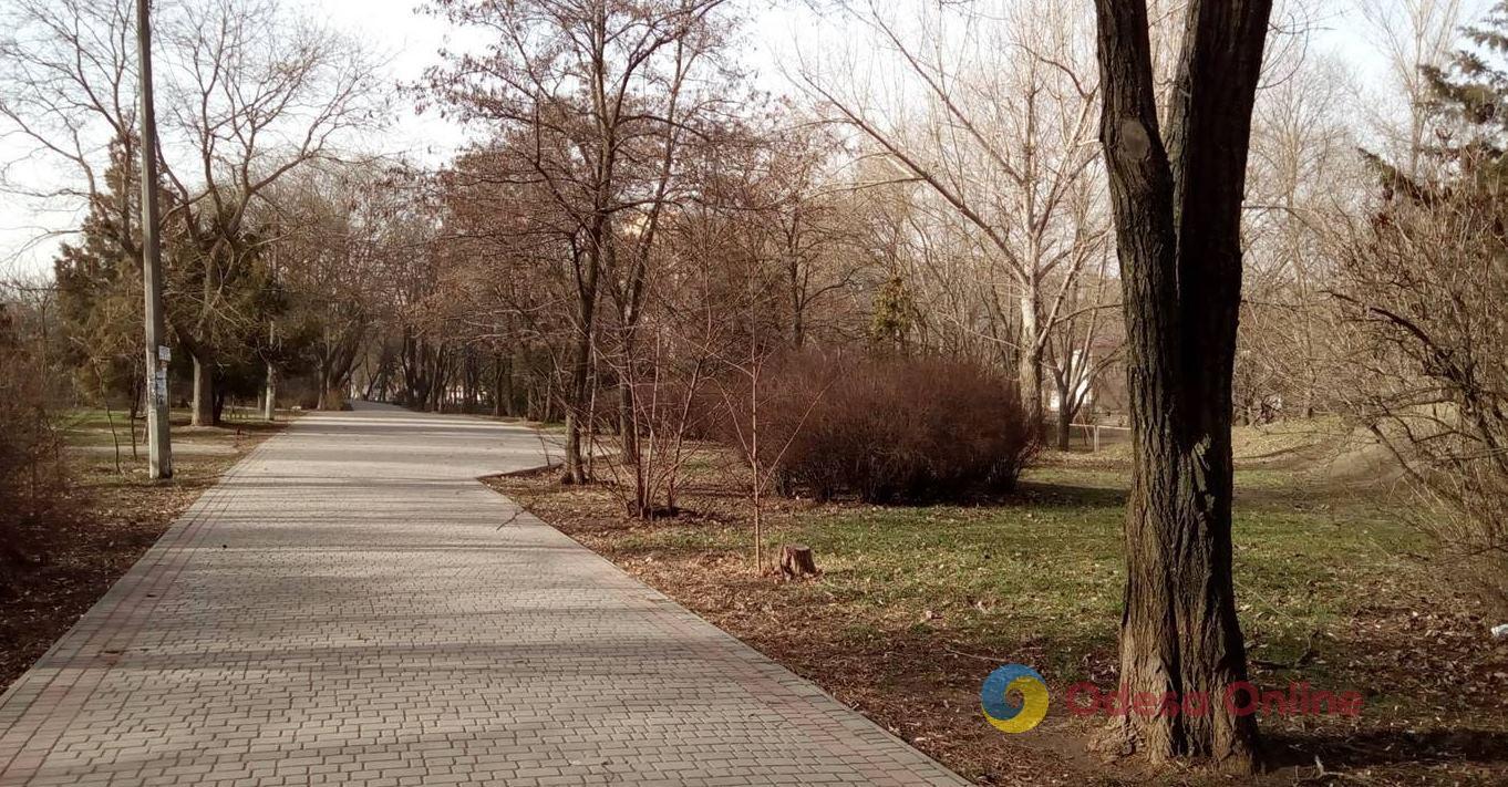 В Одесі з’являться три нових сквери