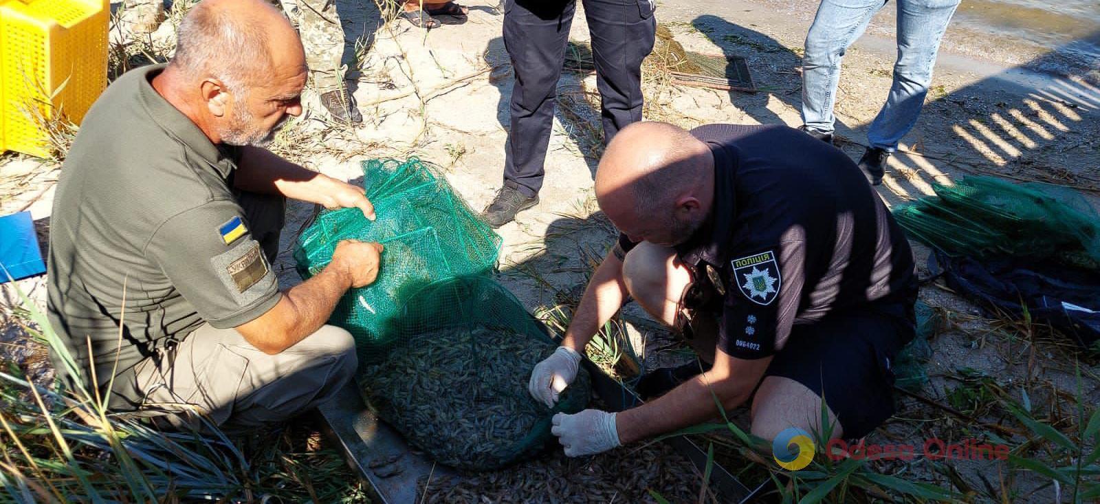 На Одещині браконьєр «порибачив» на 150 тис. гривень і постане перед судом
