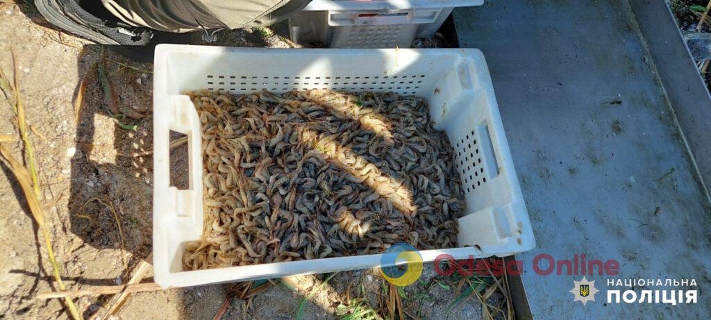 В Одесской области браконьер «порыбачил» на 150 тыс. гривен и предстанет перед судом