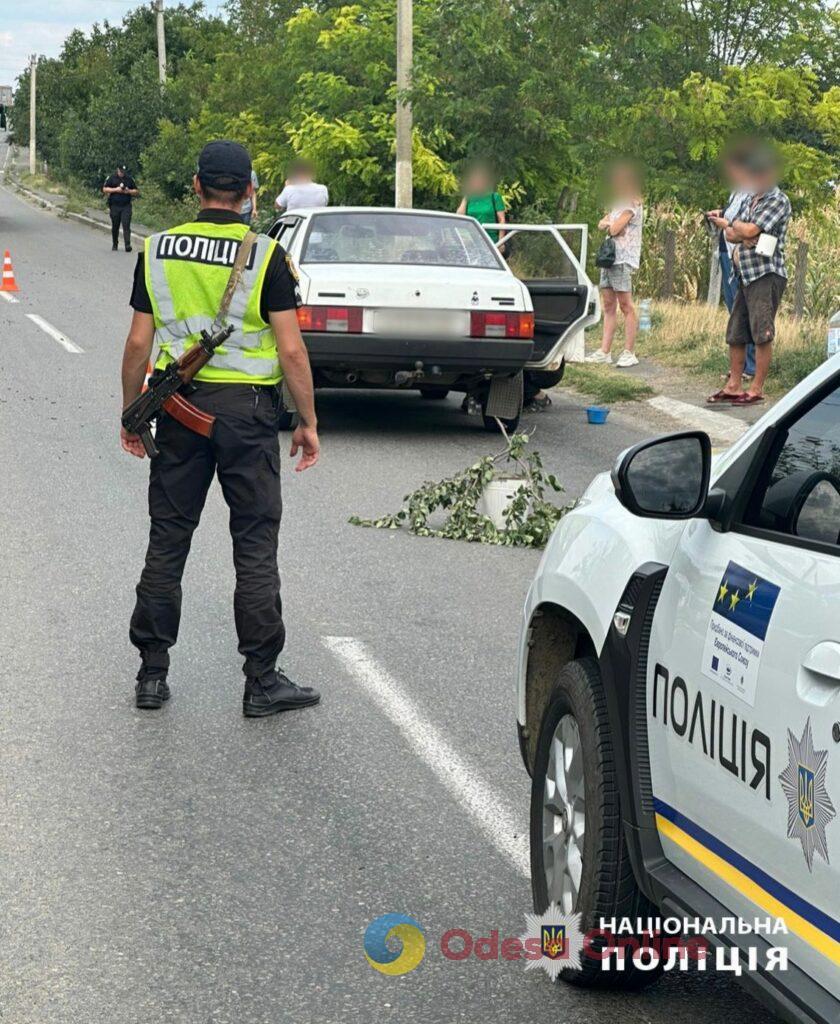 В Измаильском районе Одесской области под колесами авто погиб 6-летний мальчик