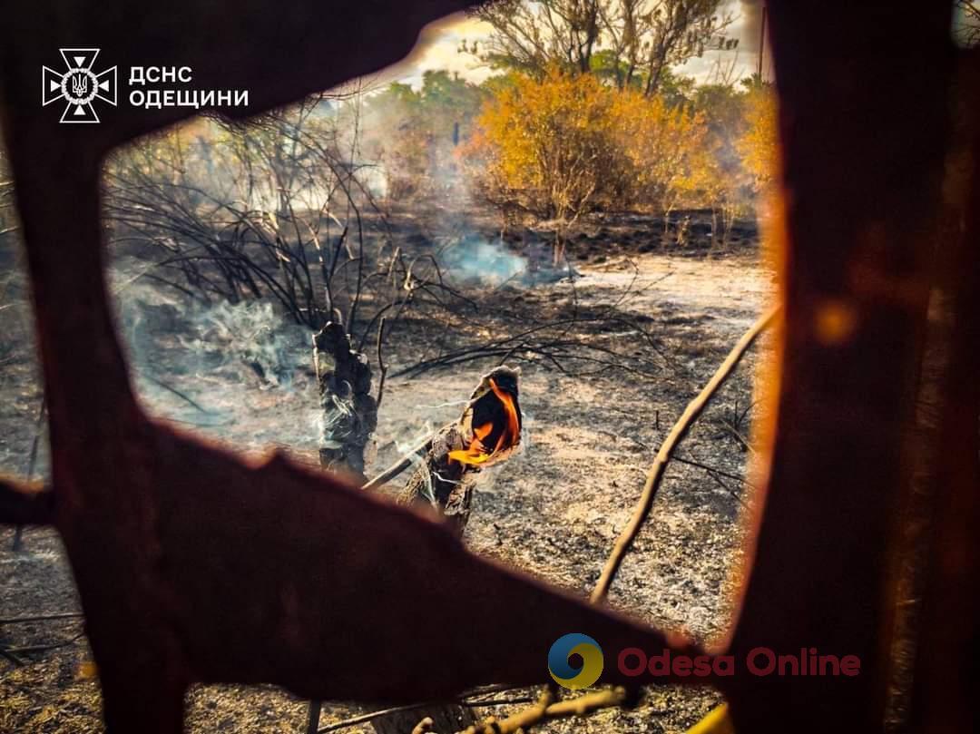 У вівторок в Одесі та області рятувальники 36 разів виїжджали на пожежі в екосистемах