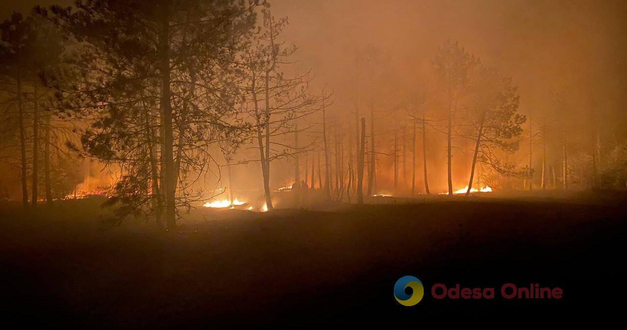 В Одесской области тушили лесной пожар
