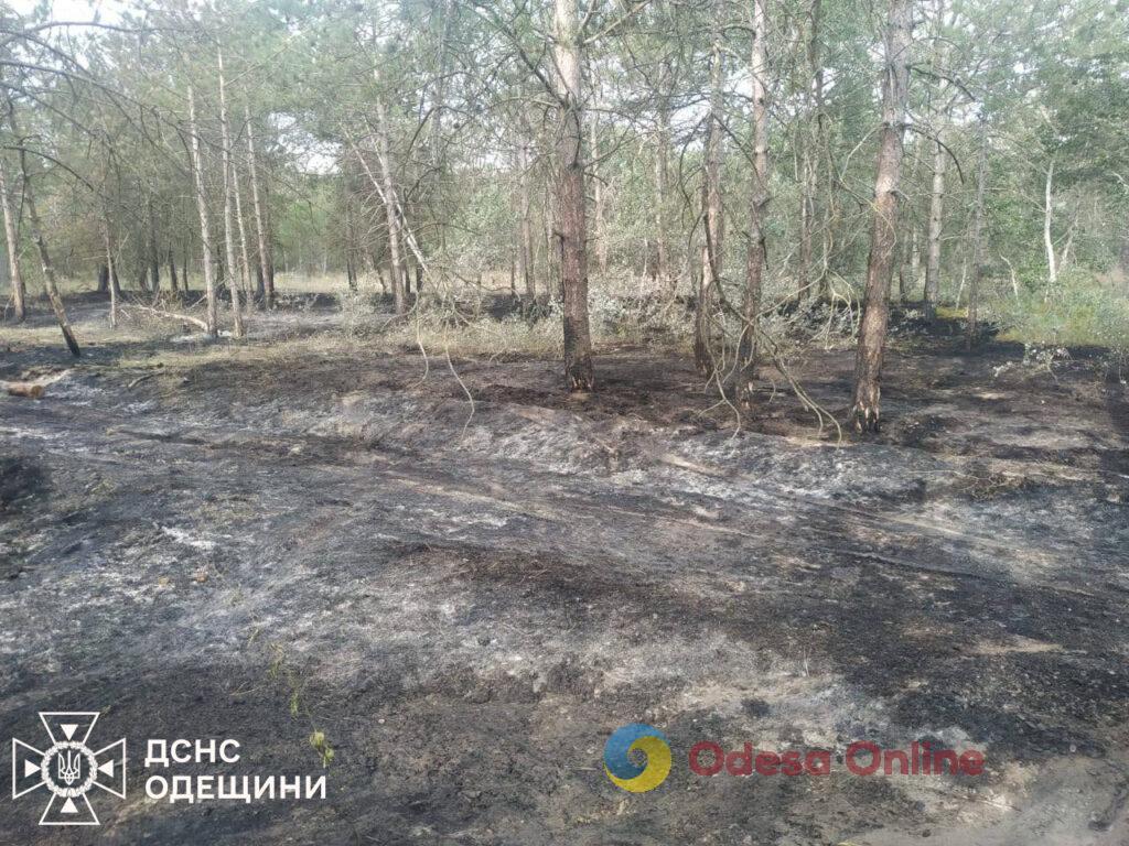 На Одещині гасили лісову пожежу