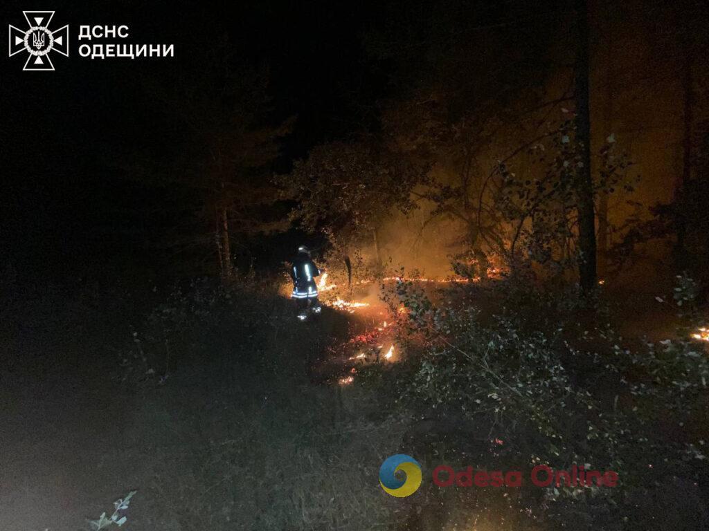 В Одесской области тушили лесной пожар