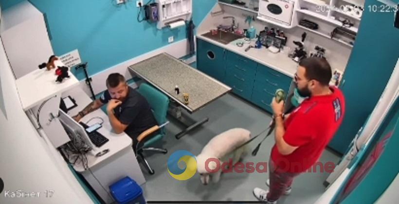 В Одесі чоловік облаяв ветерана ЗСУ, який працює ветеринаром, коли побачив його протези – до поліції вже подана заява (оновлено)