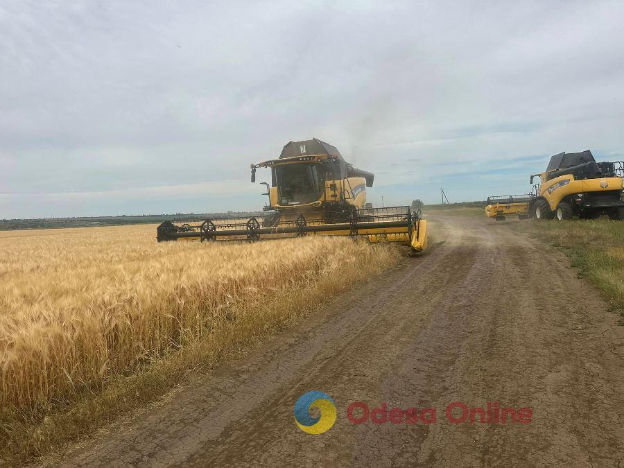 Жнива-2024: в Одеській області зібрали вже понад 1,5 мільйона тонн зерна