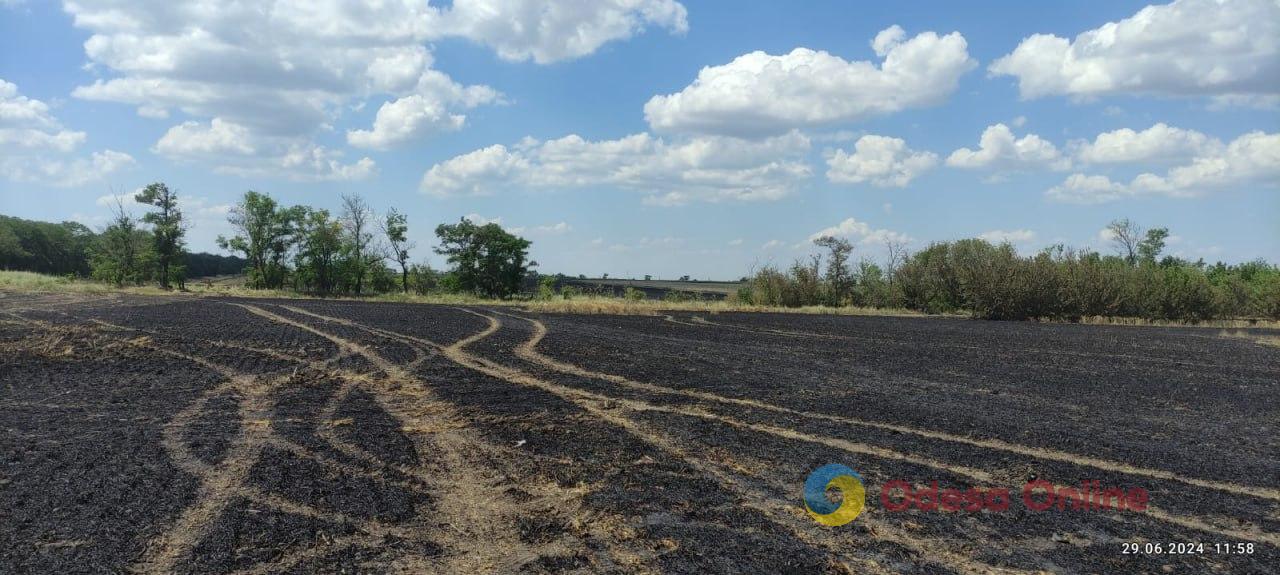 Екологи розповіли про наслідки ракетного удару по Одещині наприкінці червня