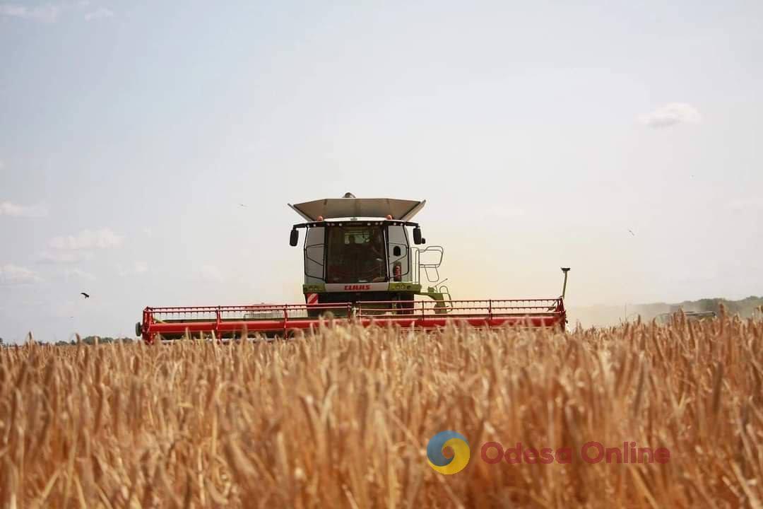 В Одесской области собрали более двух миллионов тонн зерна