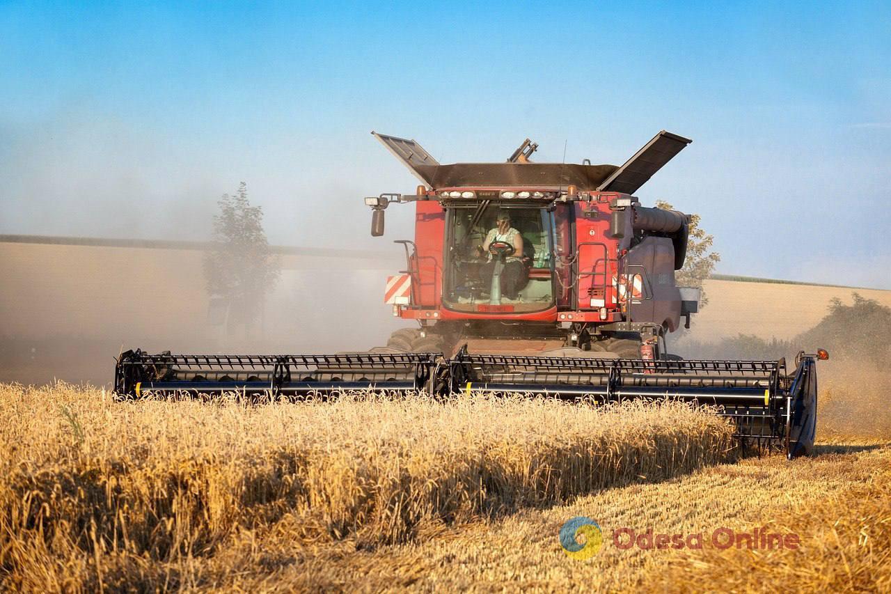 Жнива-2024: аграрії Одещини намолотили понад 2,5 мільйона тонн зерна