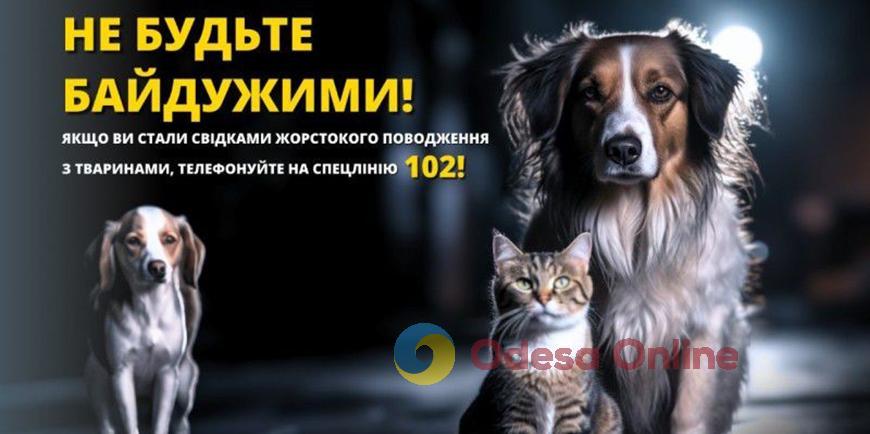 В Одессе расстреливают уличных собак