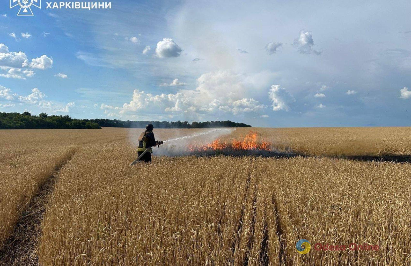 Россияне бьют FPV-дронами по полям, чтобы сжечь урожай украинских фермеров