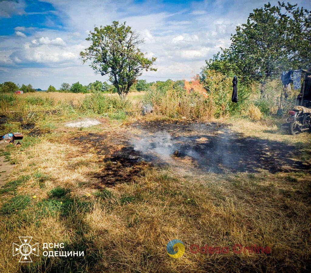 В Одесской области поджигателя сухой травы оштрафовали на шесть тысяч гривен