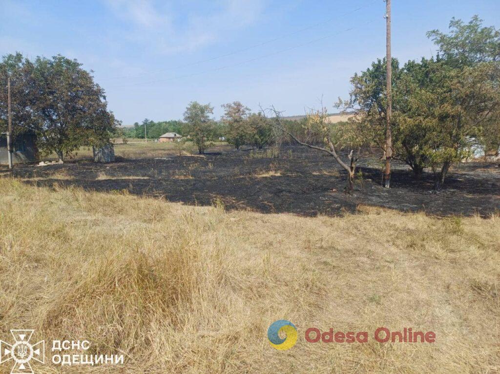 В Одесской области поджигательницу сухой травы оштрафовали на три тысячи гривен