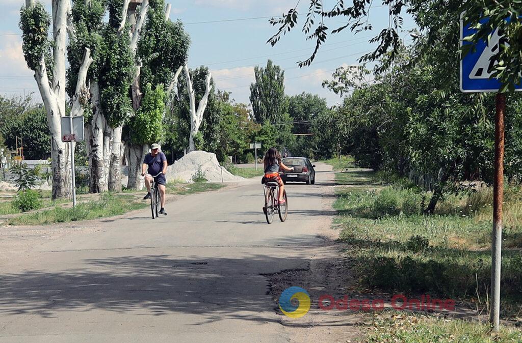 Здесь строят, сеют и пашут: как люди из села Борозенское стирают со своей земли следы оккупантов