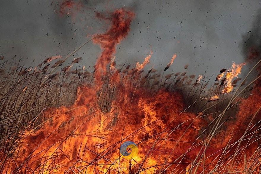 В Одессе на большой площади горели сухая трава и камыш