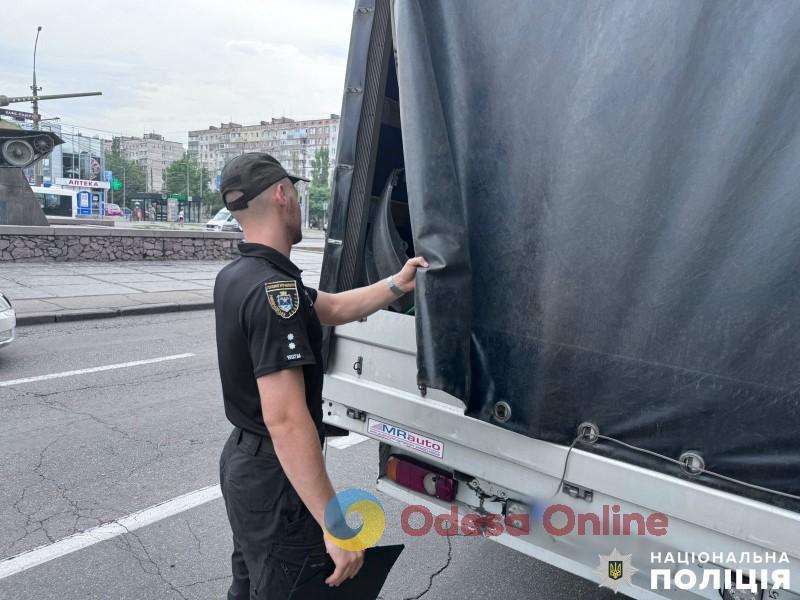 У Миколаєві у ДТП потрапила автівка з померлими собаками, що їхала до Одеси – поліція проводить перевірку