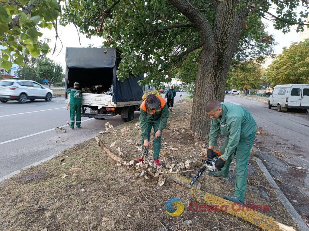 Шторм в Одессе повалил 40 деревьев и крупных веток и оставил 30 улиц без освещения