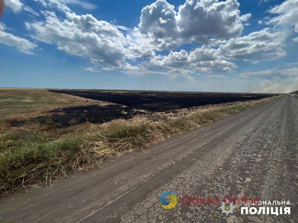 Мешканцю Одеської області загрожує до п’яти років ув’язнення за підпал пшеничних полів