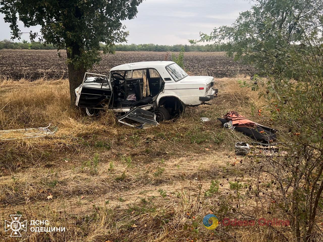 На Одещині легковик врізався в дерево – водійку затисло у салоні