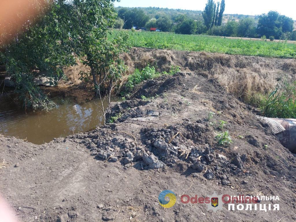 Житель Одесской области перекрыл речку, чтобы поливать свою бахчу