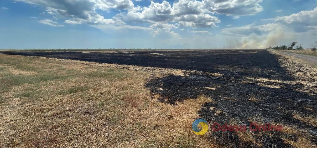 Жителю Одесской области грозит до пяти лет тюрьмы за поджог пшеничных полей