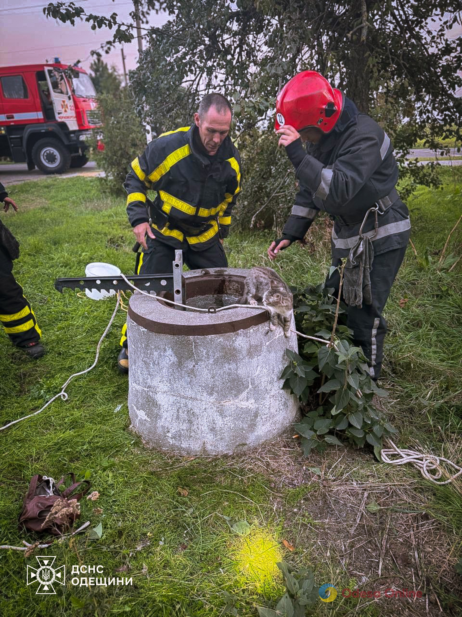 В Одесском районе спасли собаку и кота, которые упали в колодец (фото)