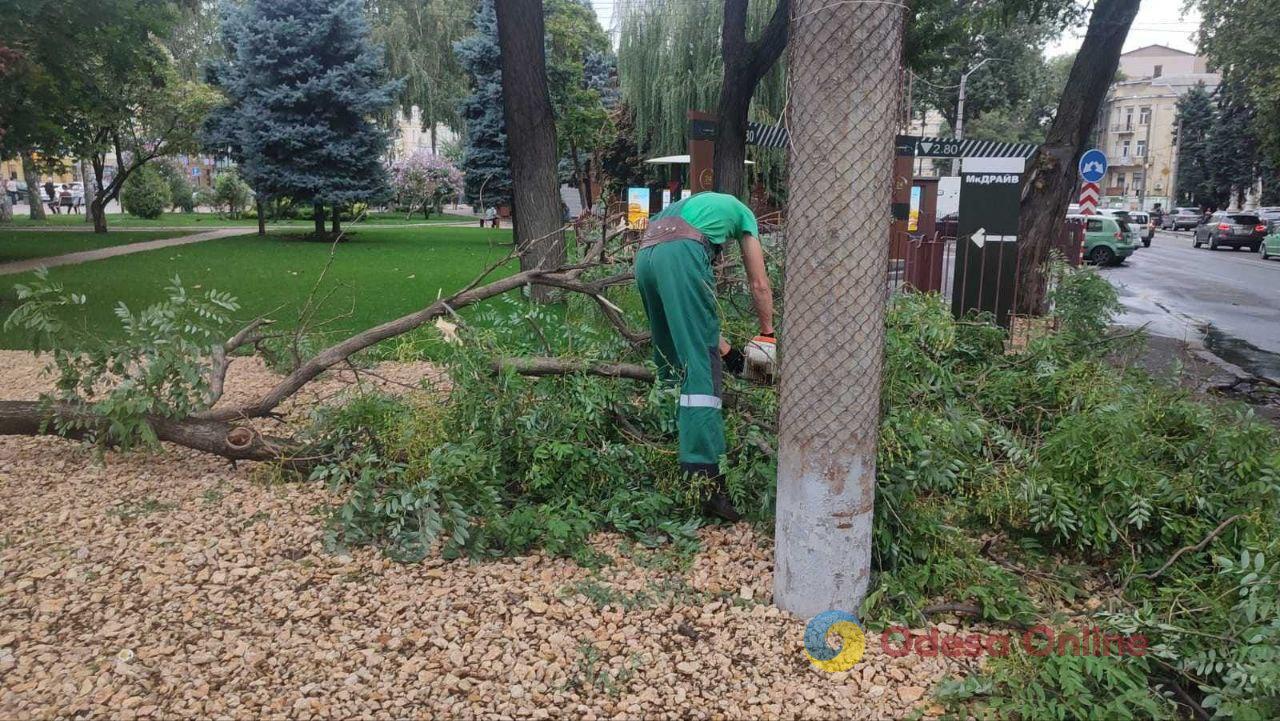 Потужна злива в Одесі повалила дерева