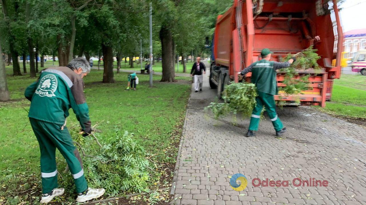 Потужна злива в Одесі повалила дерева