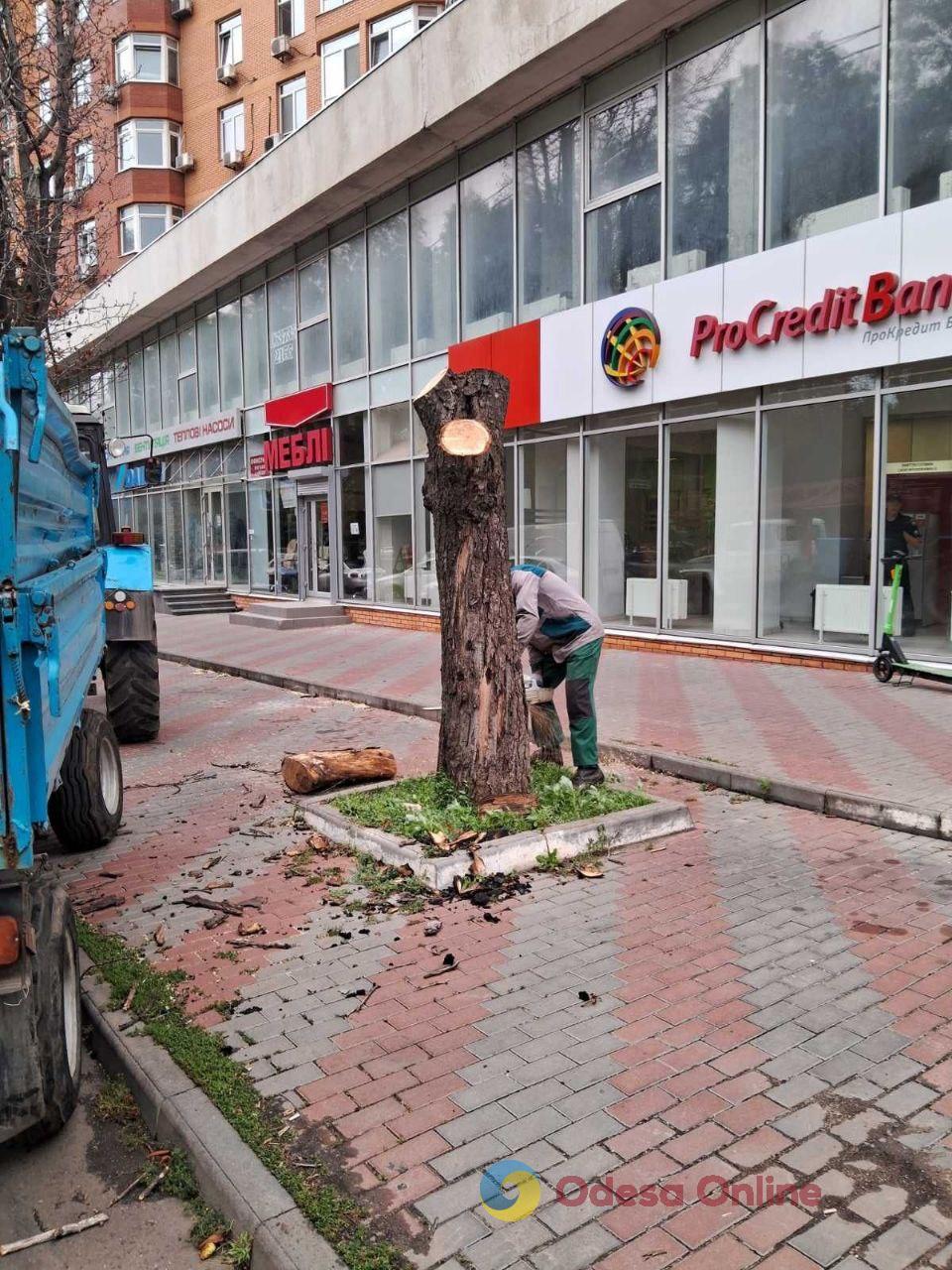 Мощный ливень в Одессе повалил деревья