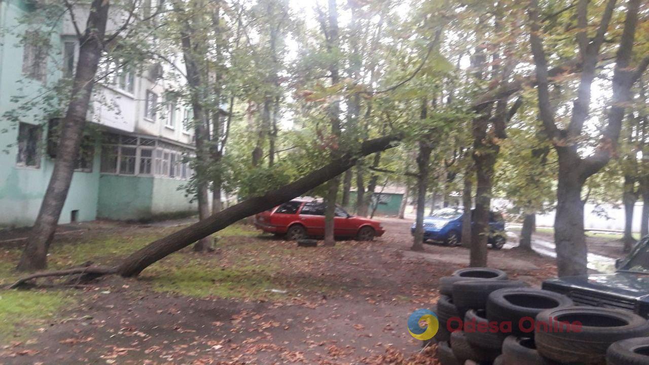 Потужна злива в Одесі повалила дерева