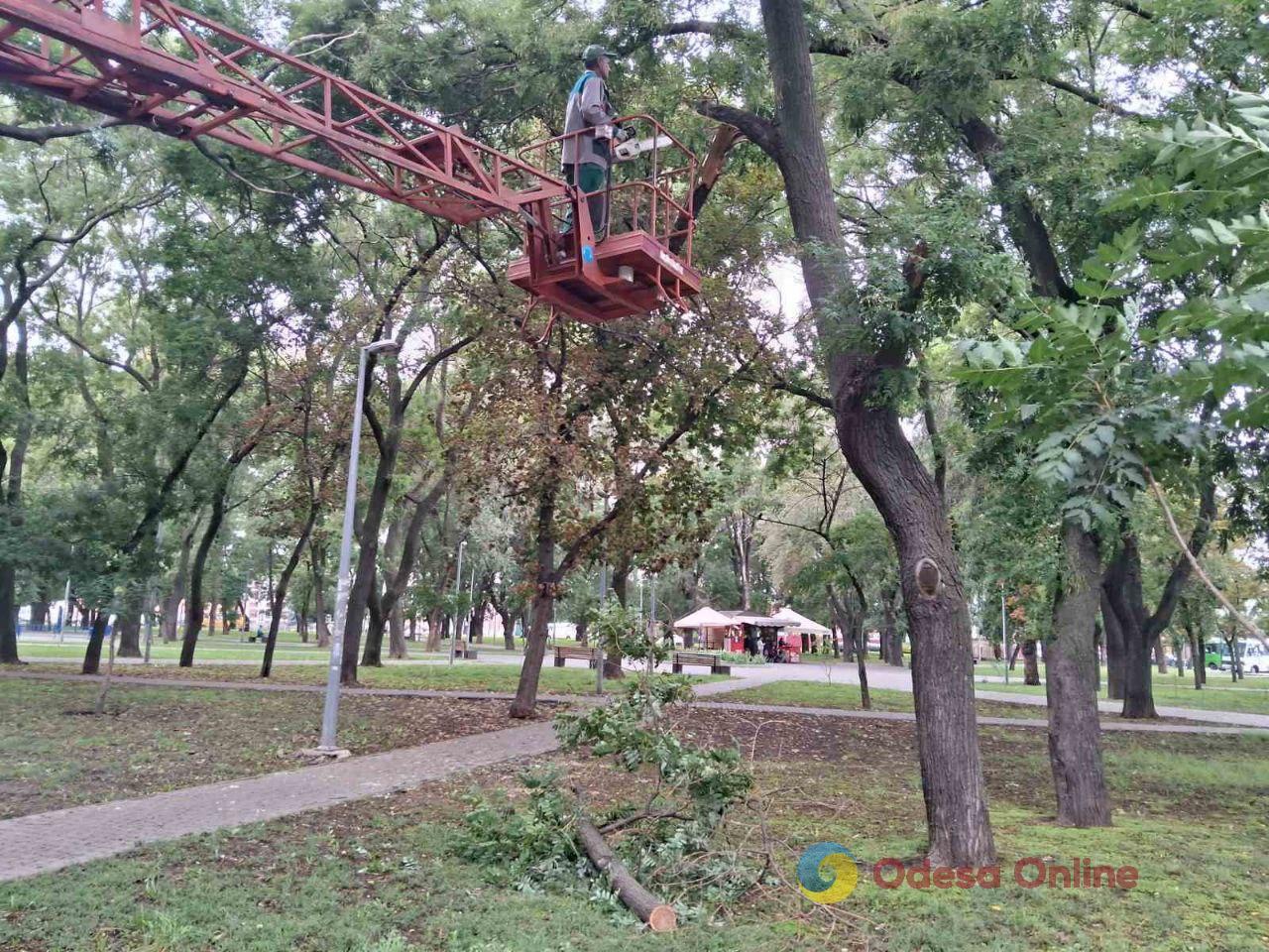 Мощный ливень в Одессе повалил деревья