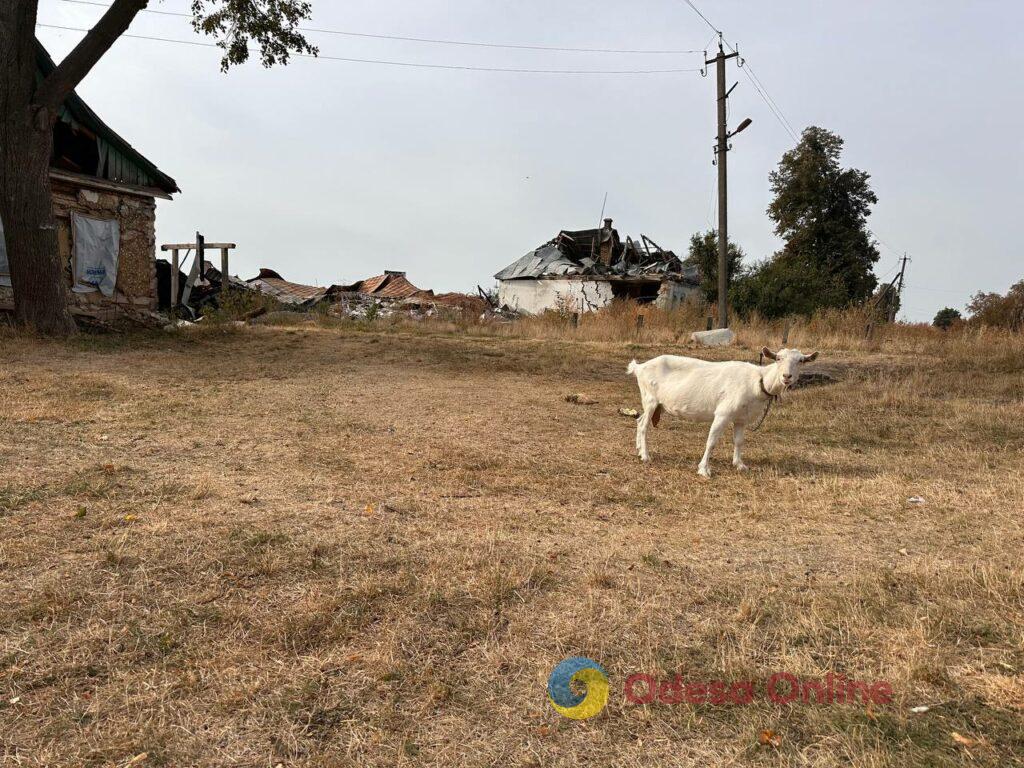 «Повітряна тривога звучить маже цілодобово»: фоторепортаж з Сумщини, яка кожного дня потерпає від ворожих атак