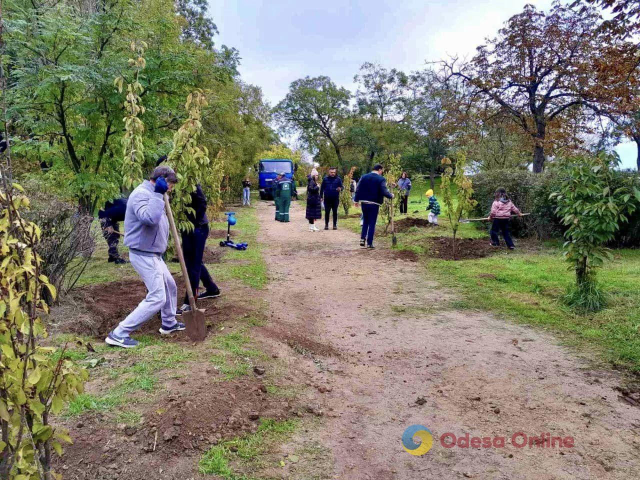 В одеському парку висадили сакуру (фото)