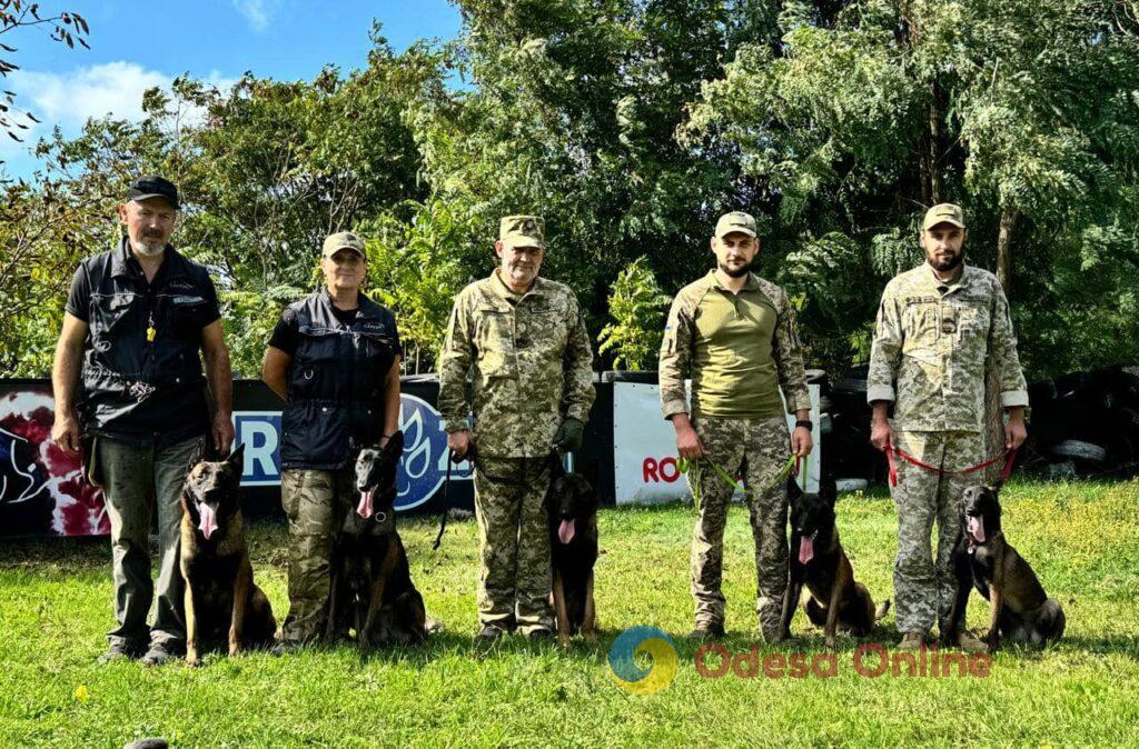 Пограничники Одесского отряда получили «хвостато-лохматое» пополнение (фото)