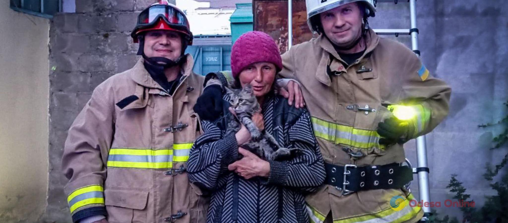 В Одесской области пожарные достали кота из дымовой трубы