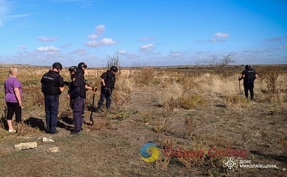 У Миколаївській області на полі підірвалися чотири корови