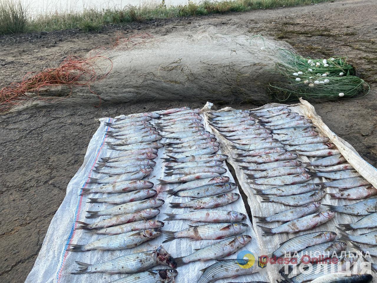 Одещина: у нацпарку «Тузлівськи лимани» спіймали ймовірного браконьєра