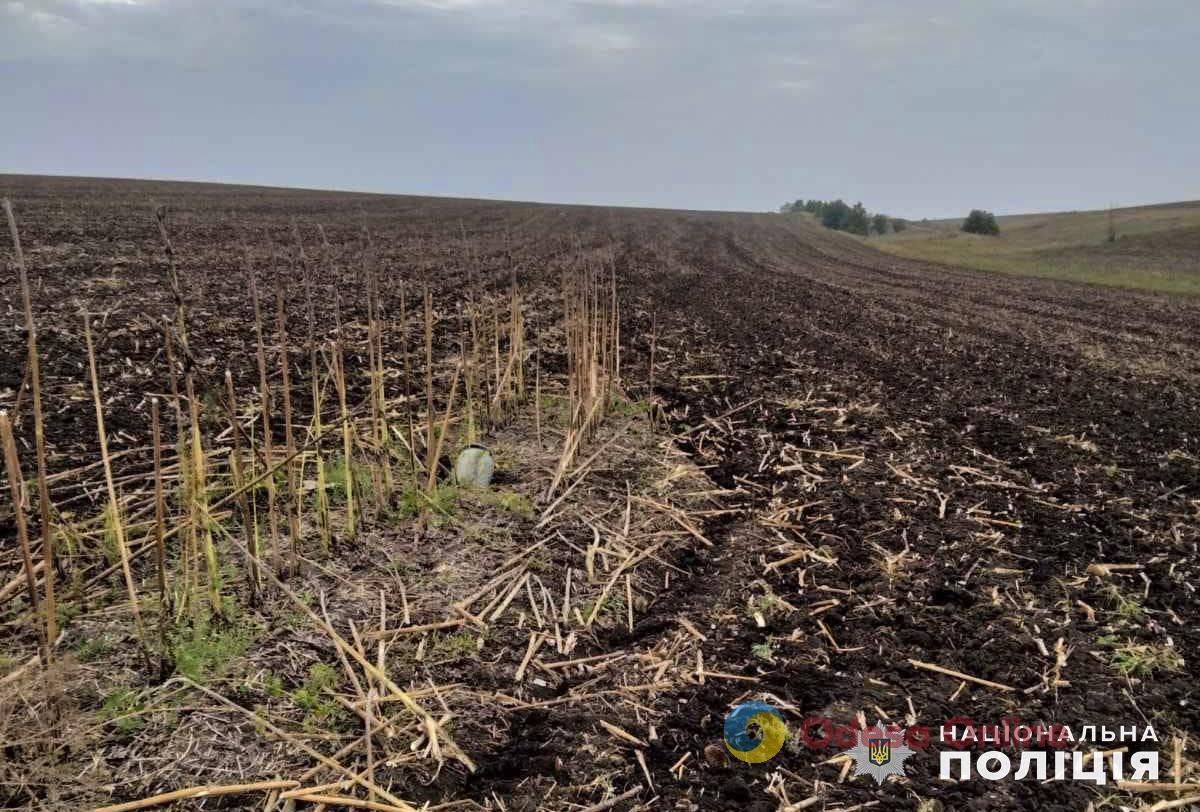 На Миколаївщині вибухотехніки знищили російську зброю – бойову частину БПЛА та касетний боєприпас