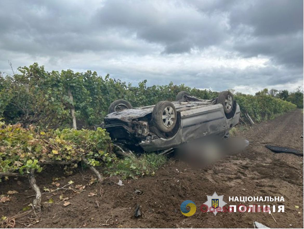 В Одесской области в ДТП погиб мужчина