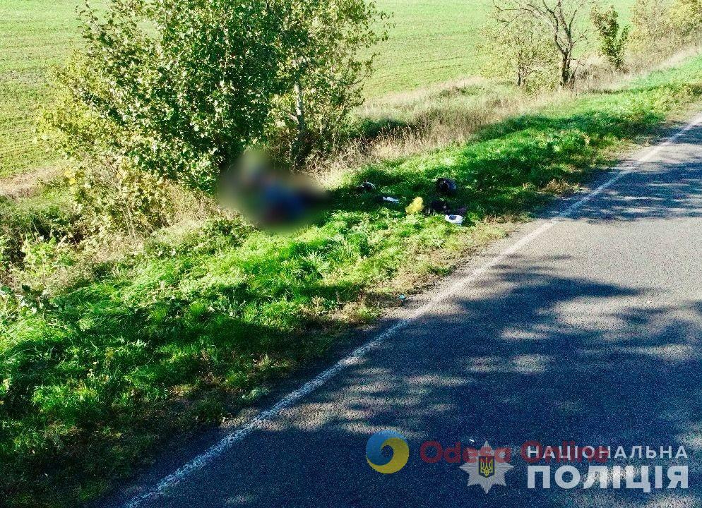 В Одесской области мотоциклист убился об дерево