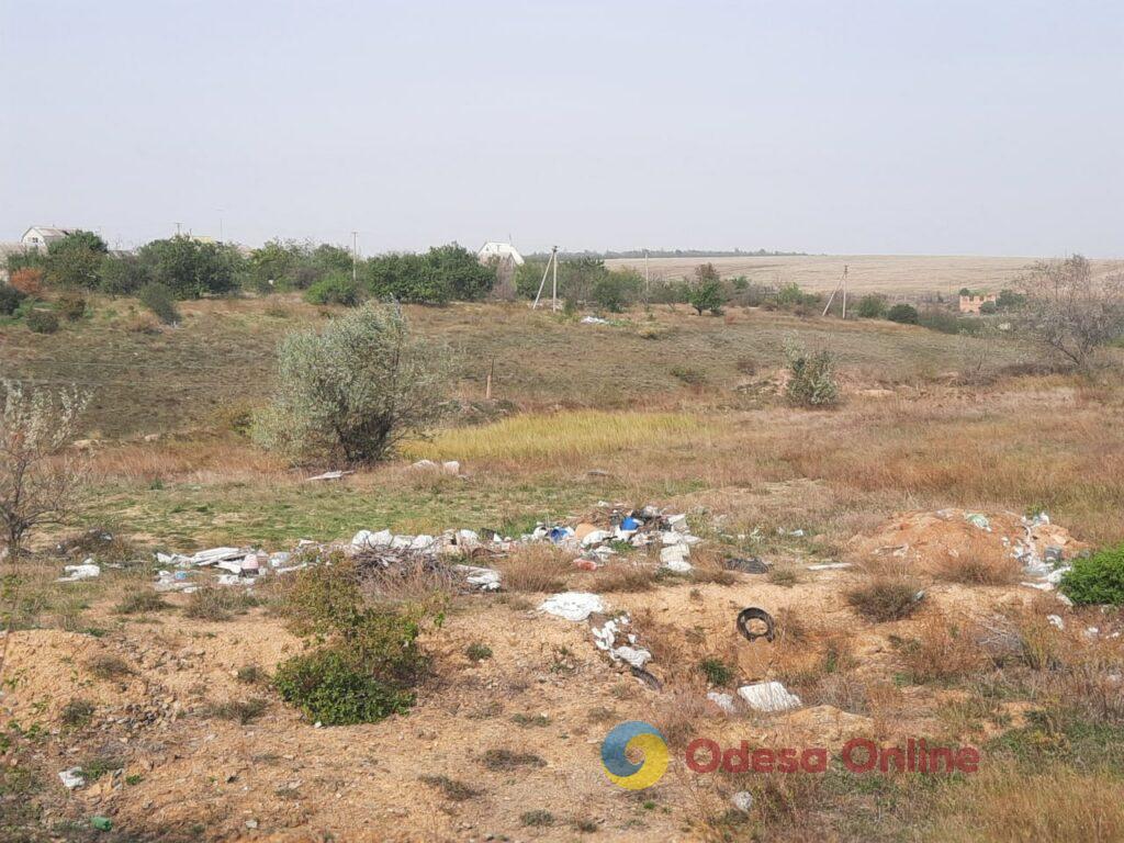 В Одесской области побережье Хаджибейского лимана завалили мусором (фото)