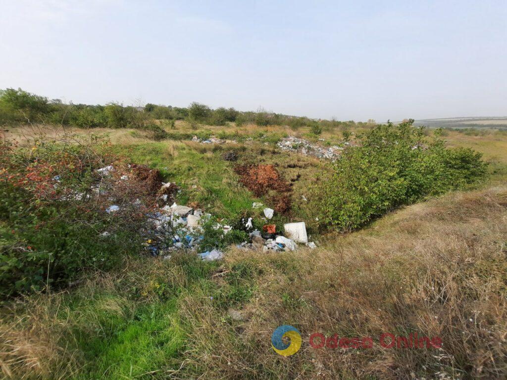 В Одесской области побережье Хаджибейского лимана завалили мусором (фото)