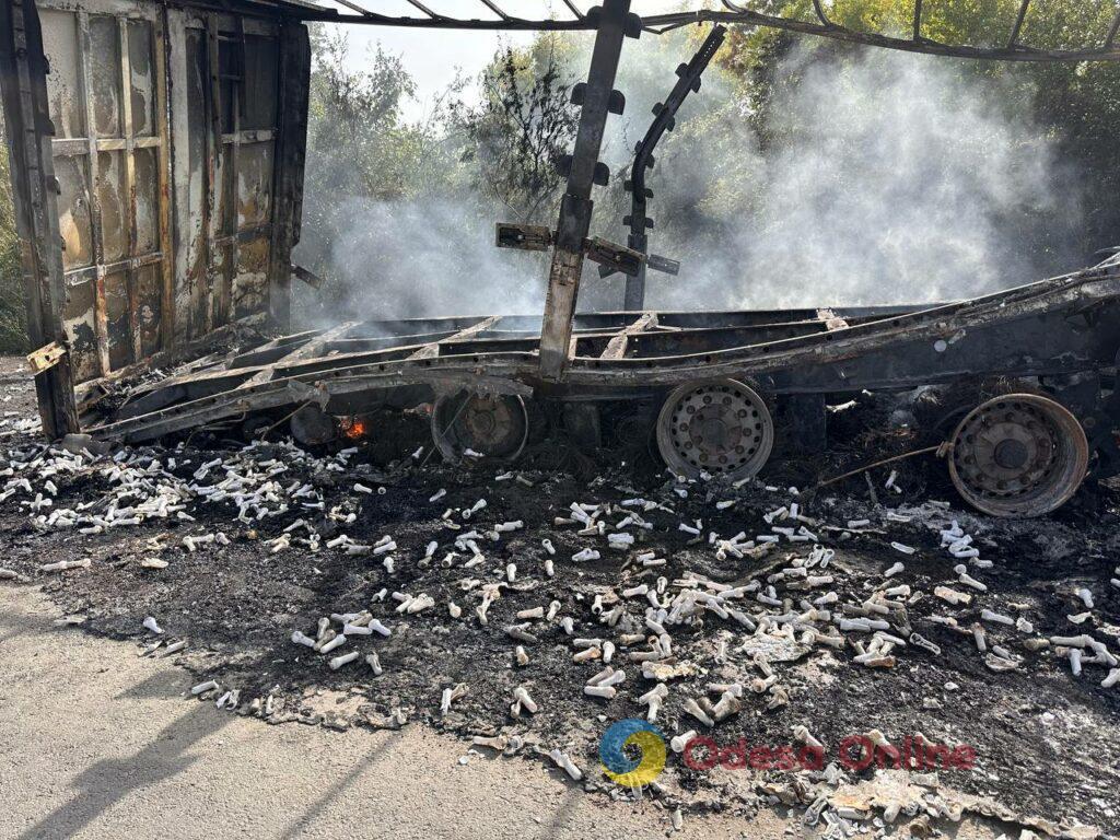 Последствия дроновой атаки по югу Одесской области: сгоревшие дотла грузовики, поврежденные ангары, уничтоженная партия мяса (фоторепортаж)