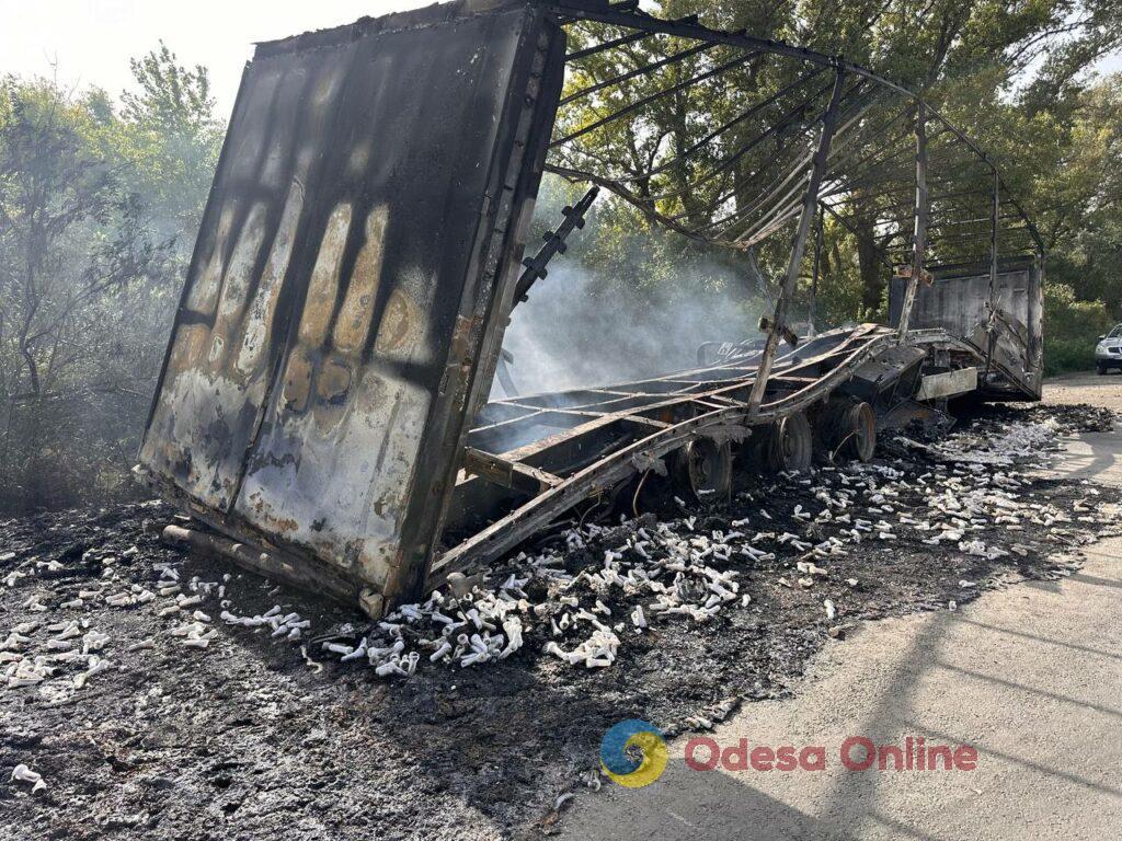 Наслідки дронової атаки по півдню Одещини: згорілі вщент вантажівки, пошкоджені ангари, знищена партія м’яса (фоторепортаж)